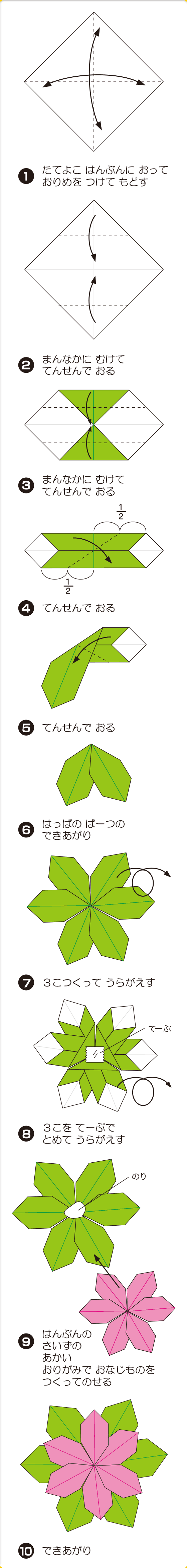 ポインセチア