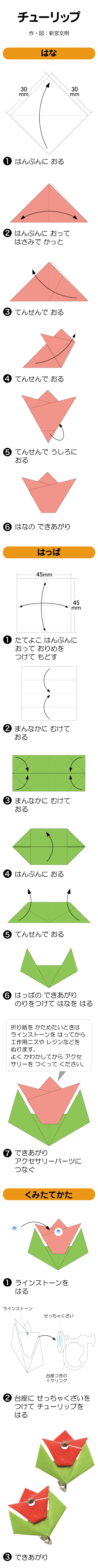 チューリップ