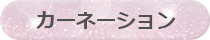 カーネーション
