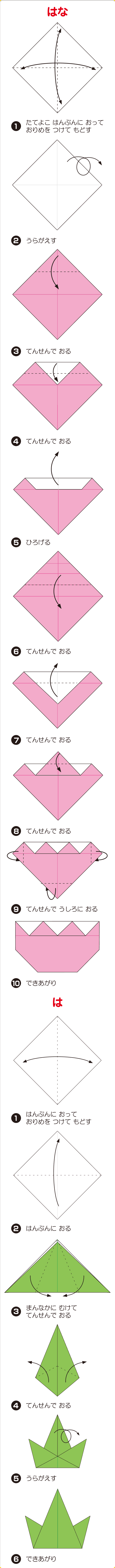 チューリップ
