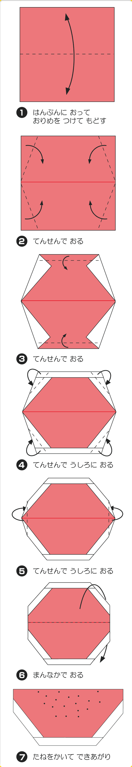 スイカともも