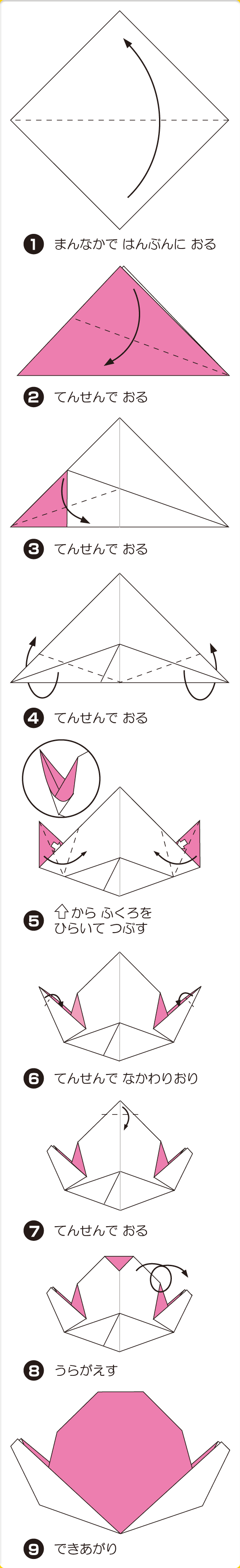 スイカともも