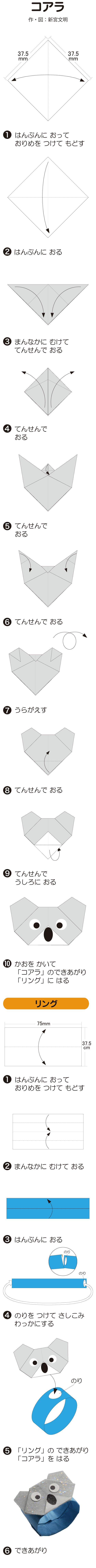 コアラ